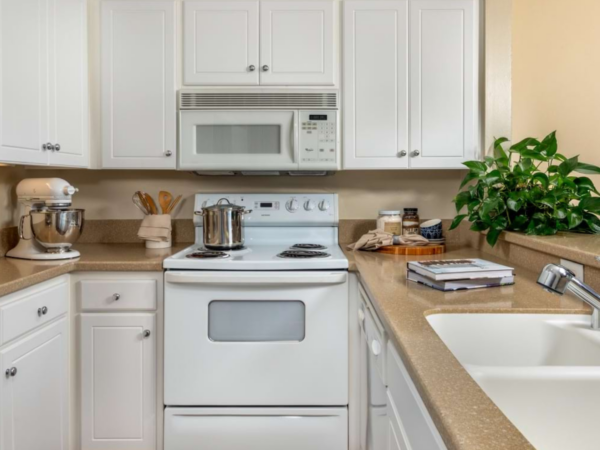 Bright white kitchen with white cabinetry and appliances, beige countertops, a double sink, and a green potted plant.